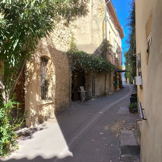 📍✨ Nouvelle réalisation pour La Calade à Lourmarin ! ✨📍

Nous sommes ravis de vous présenter notre toute dernière création : la conception, l’impression et la pose d’enseignes pour le charmant salon de thé La Calade, niché au cœur du village de Lourmarin. 🍃☕️

Des enseignes élégantes et chaleureuses qui reflètent parfaitement l’âme et l’authenticité de ce lieu convivial. 🌿 Venez découvrir ce havre de douceur et savourez une pause gourmande au milieu de l’un des plus beaux villages de Provence ! 🏞️

#TheBlueEffect #DesignGraphique #Enseignes #Lourmarin #LaCalade #Artisanat #Provence #SalonDeThé #CréationSurMesure @lacaladedelourmarin